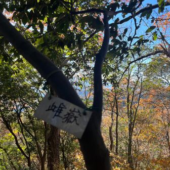 雄岳着いたけどあんまり景色なし