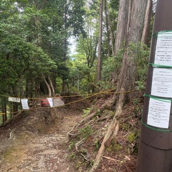 大杉谷−月輪寺分岐