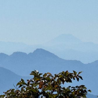 奥にうっすら富士山も