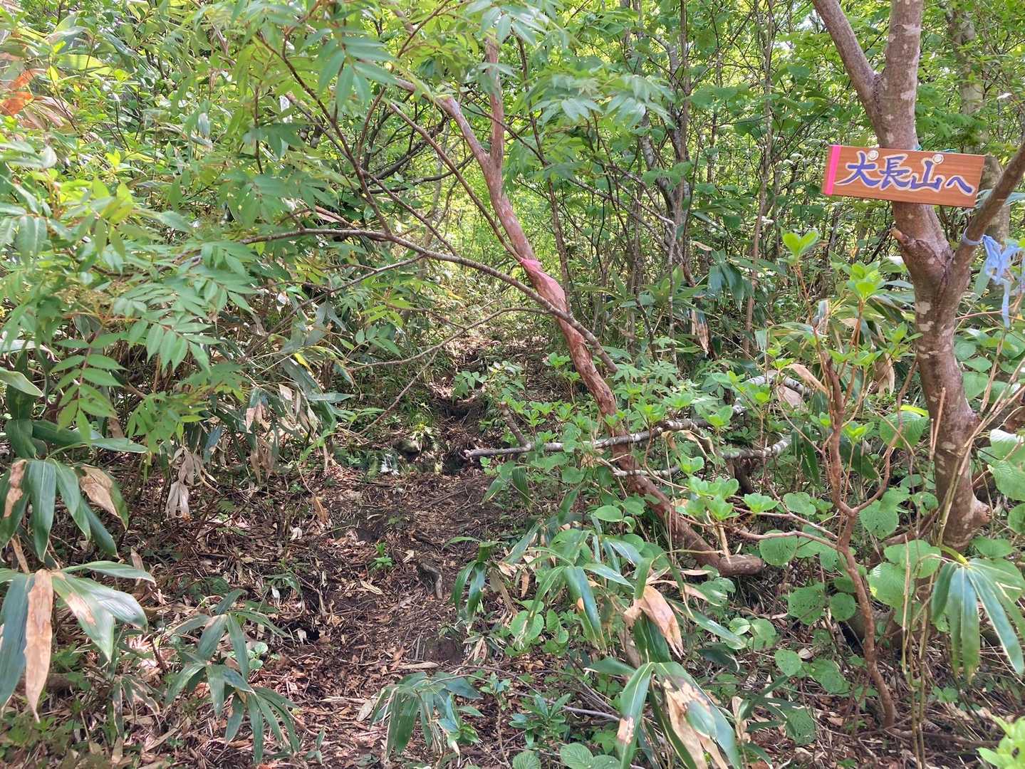 大長山方面へ〜行ける所まで行こうかなと思ってたけど、ソロなので怖くて辞めました