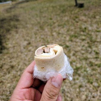 行動食は自作和風トルティーヤ