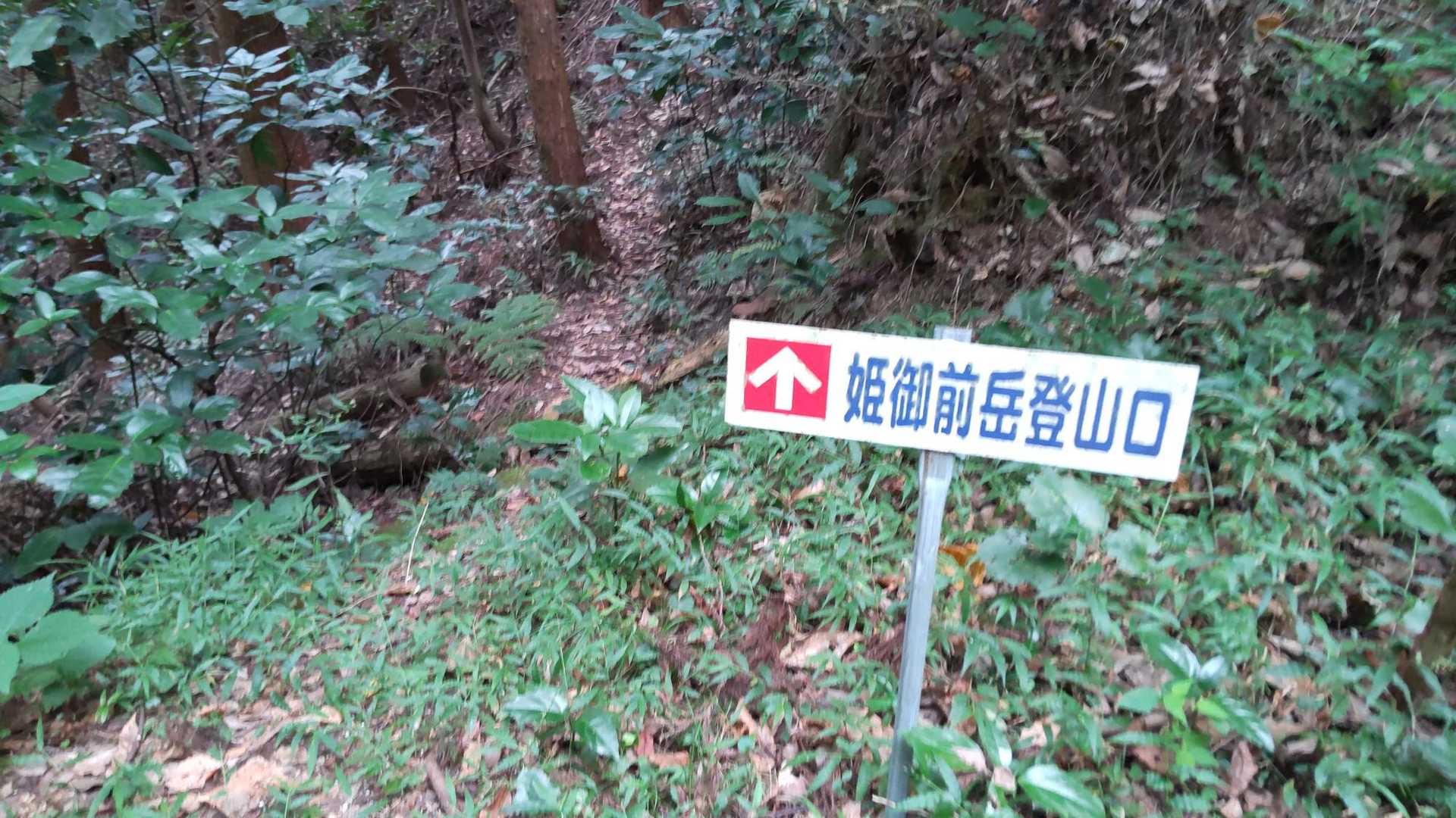 ここから