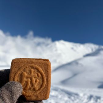 少しだけおやつ🍪