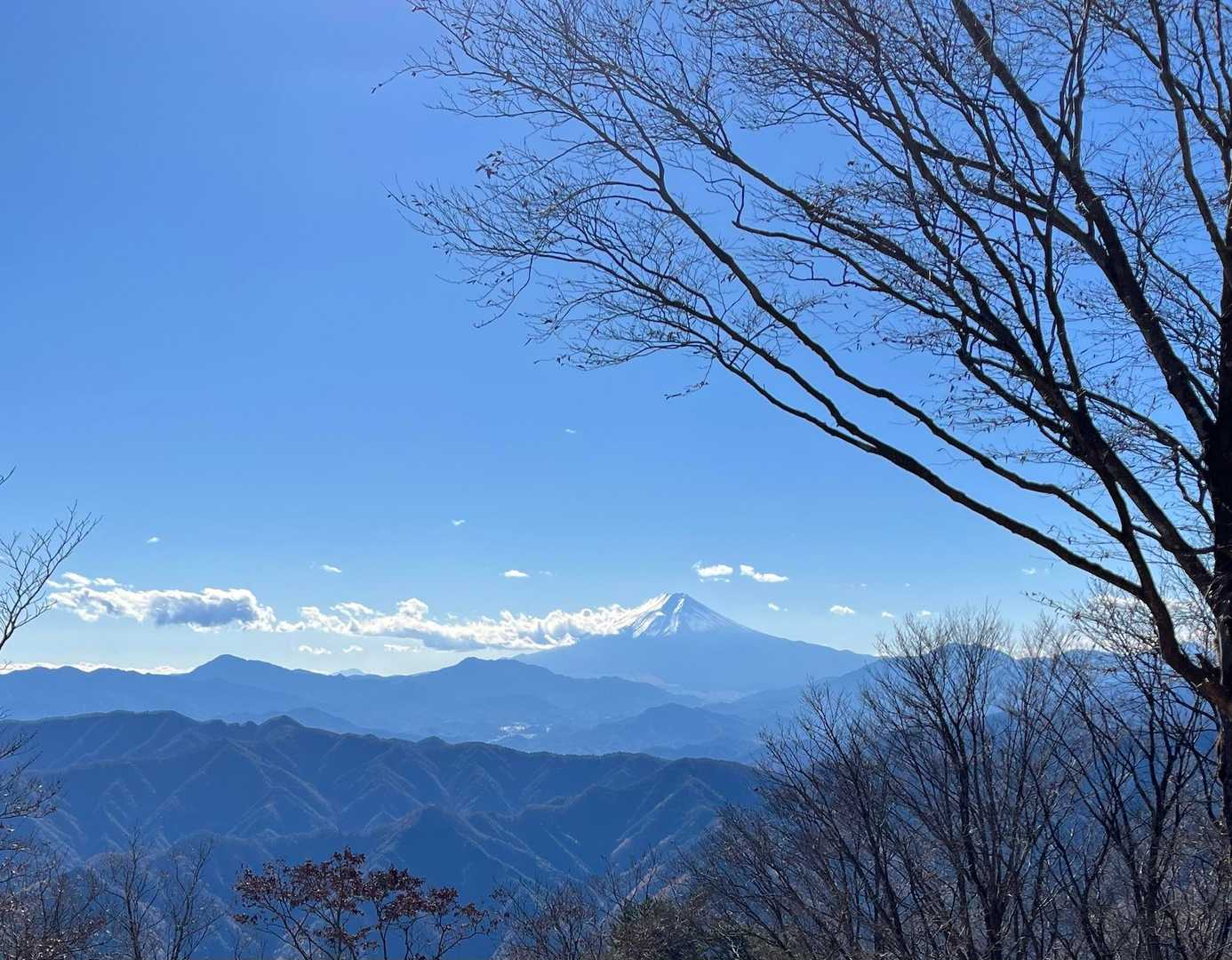 歩くのやめてずーっと見ていたいくらいです