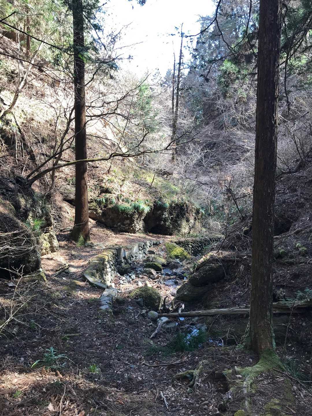 観音院-観音山-牛首峠 周回コースの写真