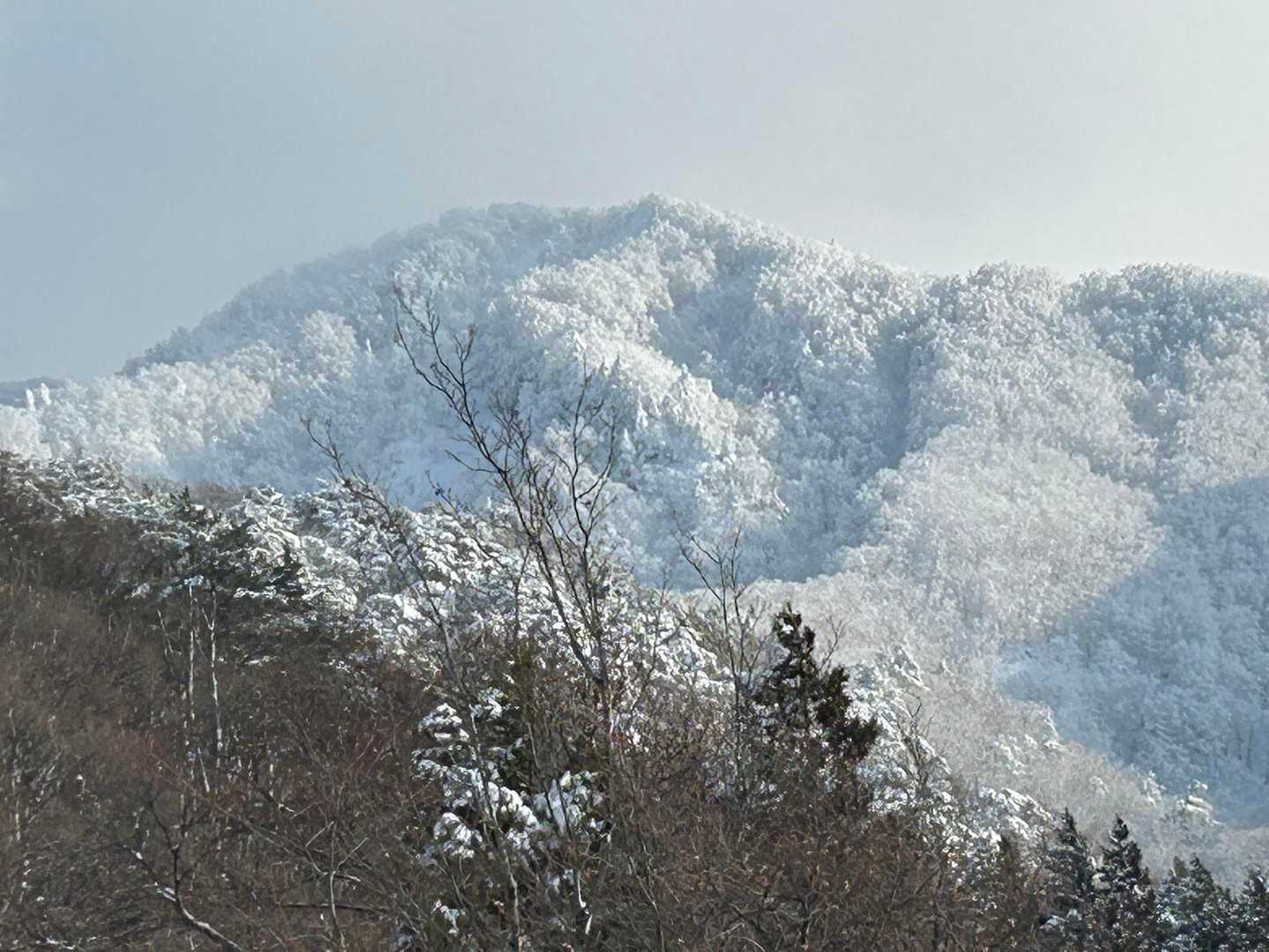 いいねー
瀧山
今年は何回登れるだろうか
去年は7回登ってました