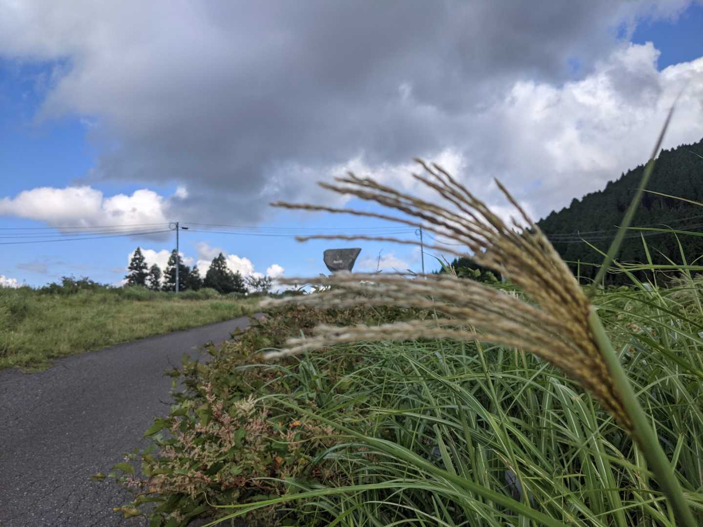 秋もチラリ