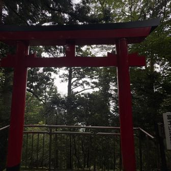 曇っていて富士山は見えず