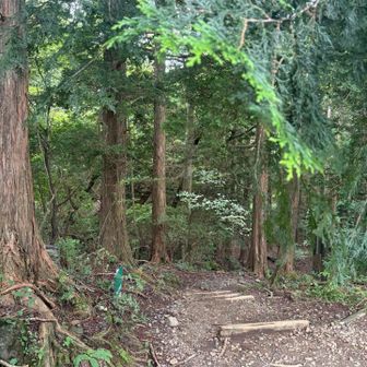 登山口からいきなり下り