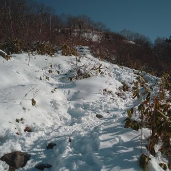 中腹〜９合目の間はこんな状況。
