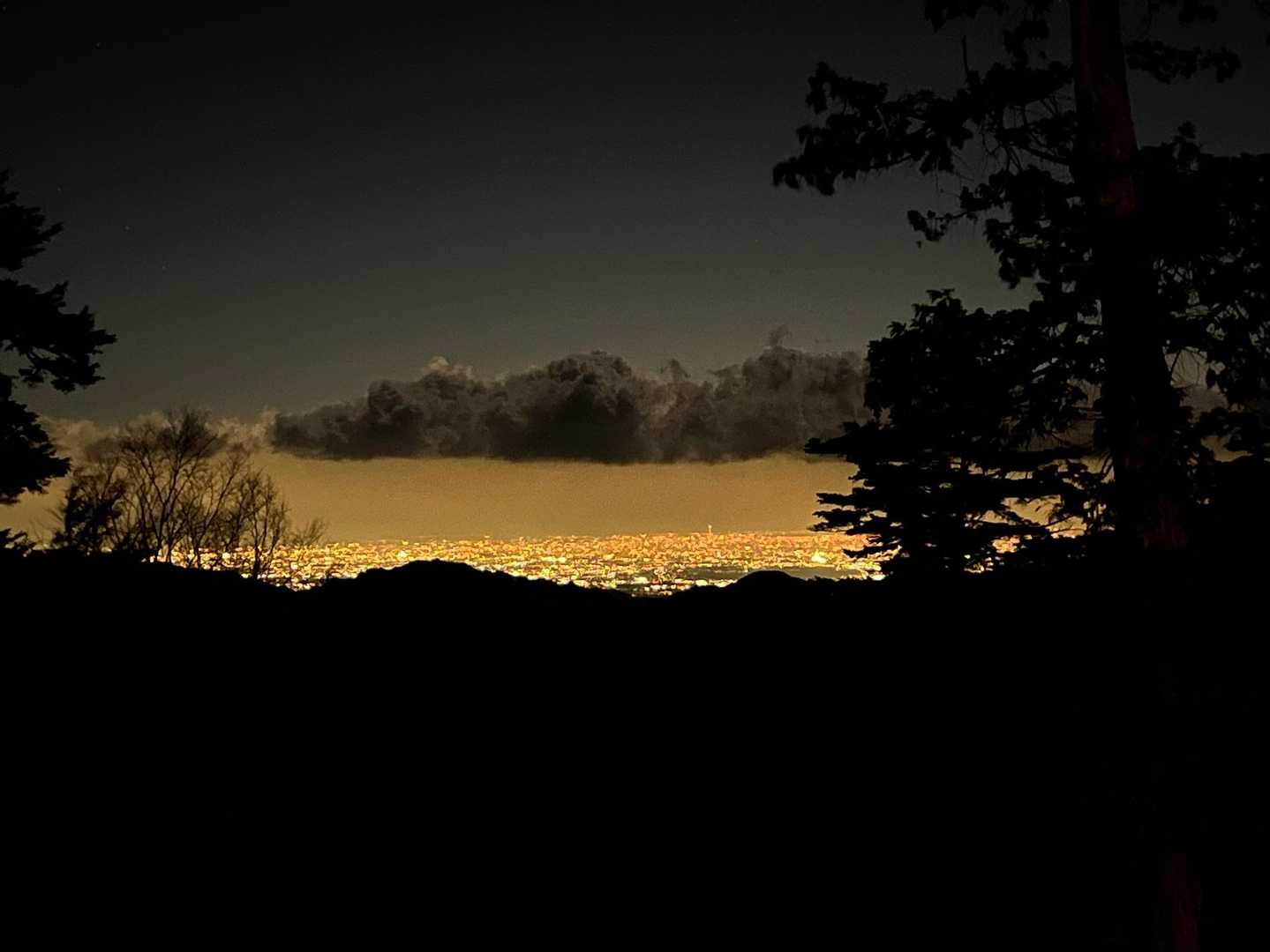白岩山-前白岩山-お清平-霧藻ヶ峰-地蔵峠-三峰ビジターセ 縦走コースの写真