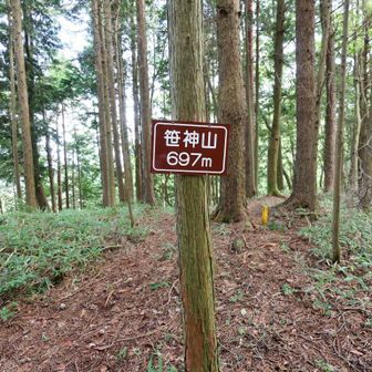 笹神山（697m）