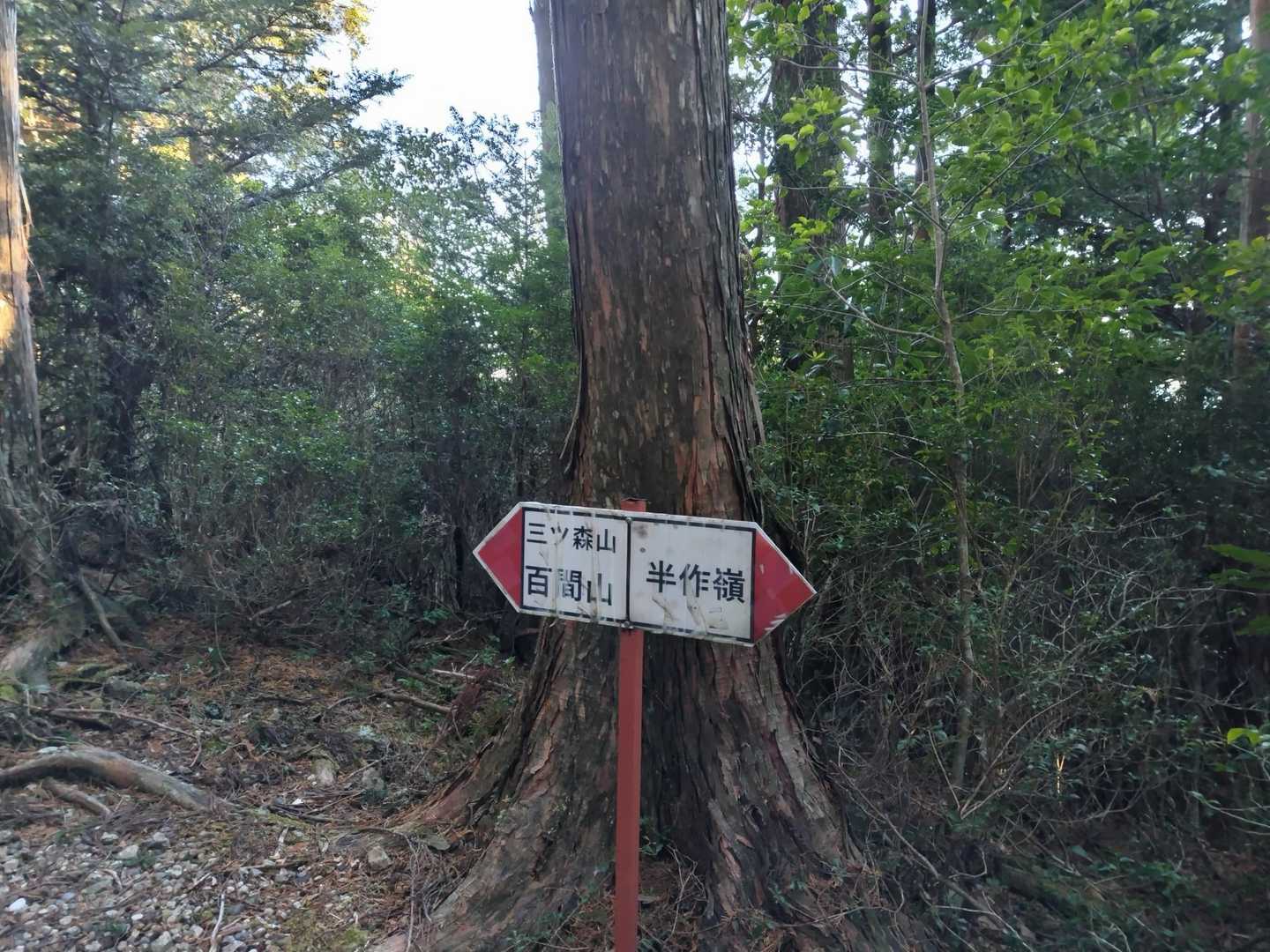 半作峠までもどってきました。