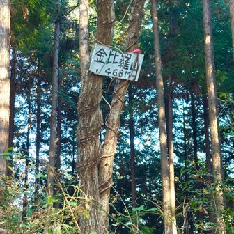 ピークではないところに、かかっていた金毘羅山