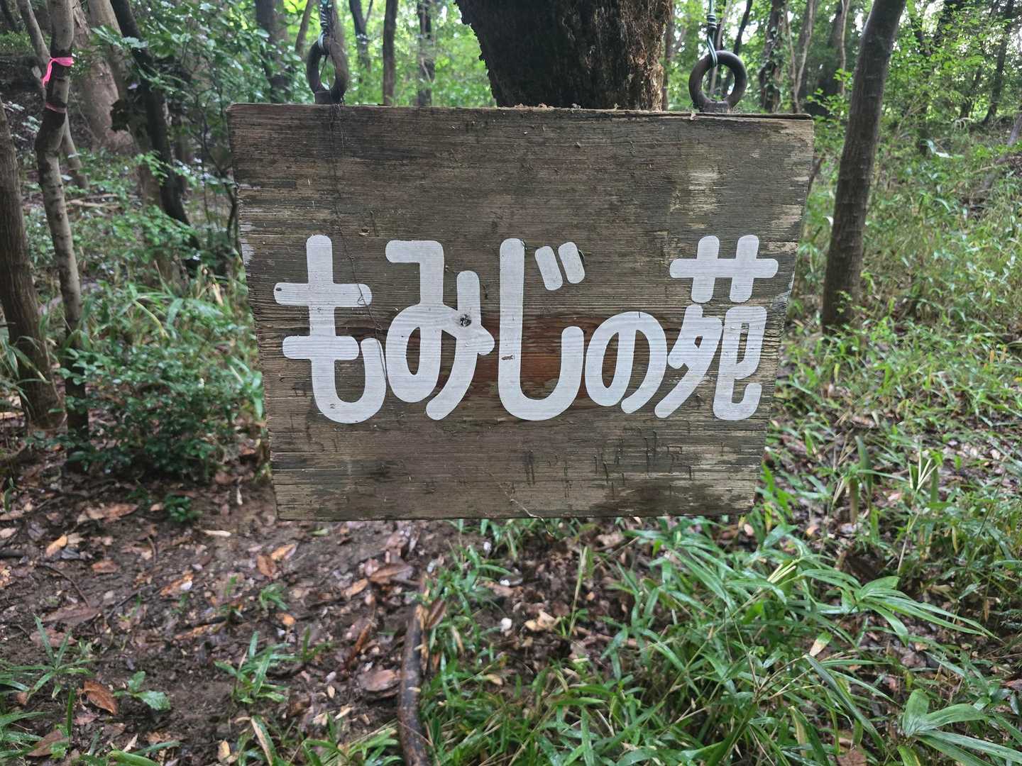 降りて来ました