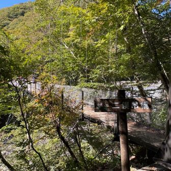 二俣吊り橋、結構揺れます