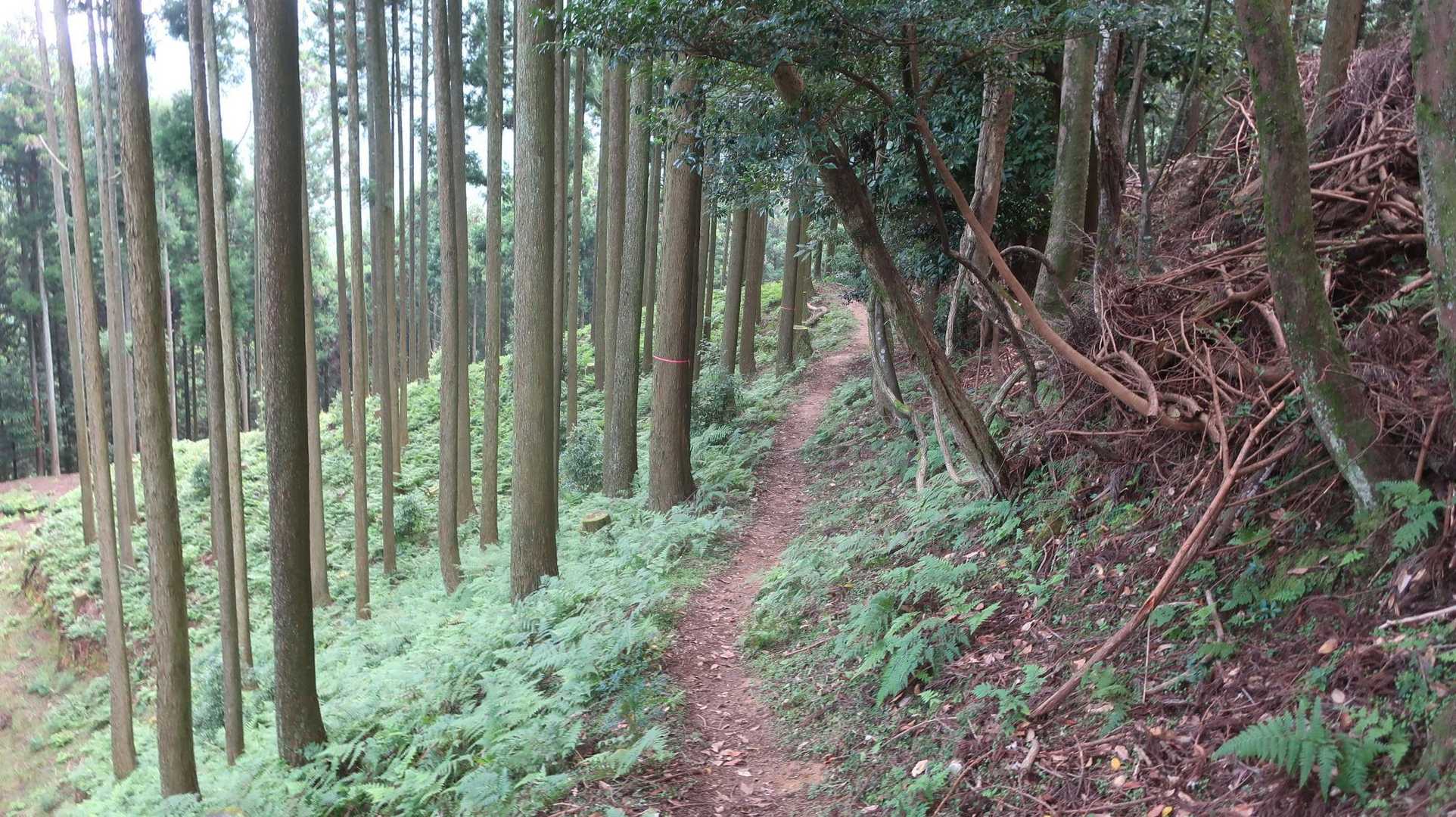 虫もいなくて良かった