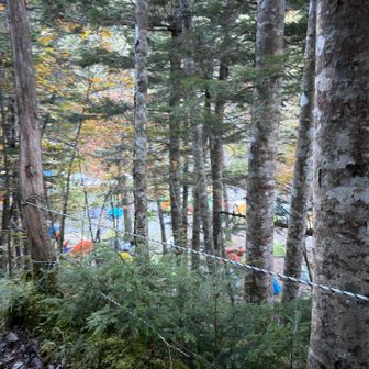 テント🏕️いっぱい