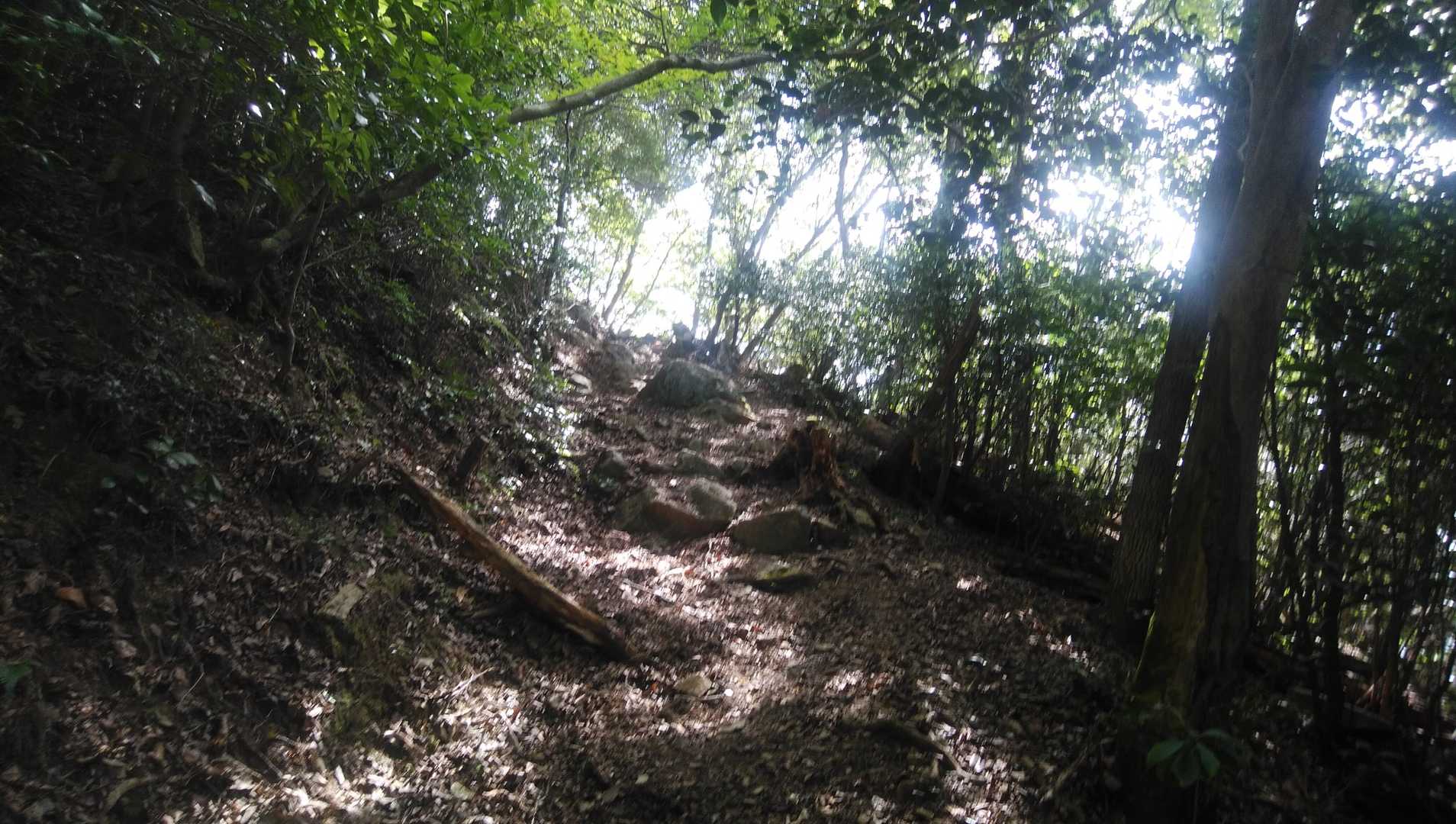 牧野登山口-妙見山-東山登山口 周回コースの写真
