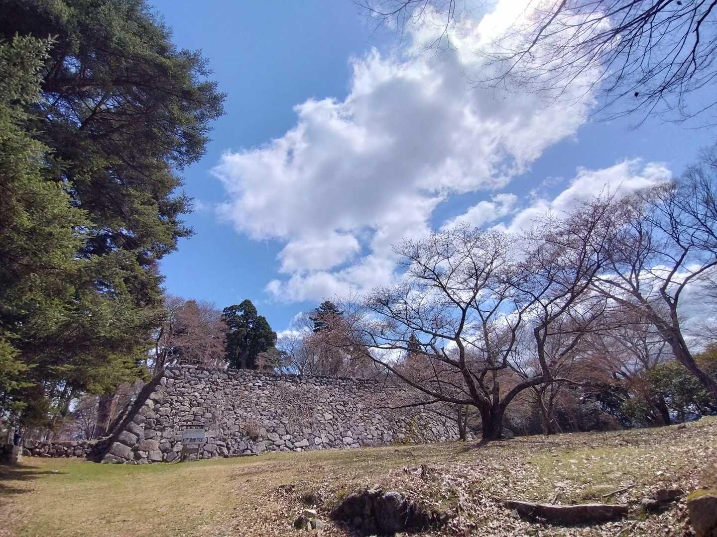 天守が現れました