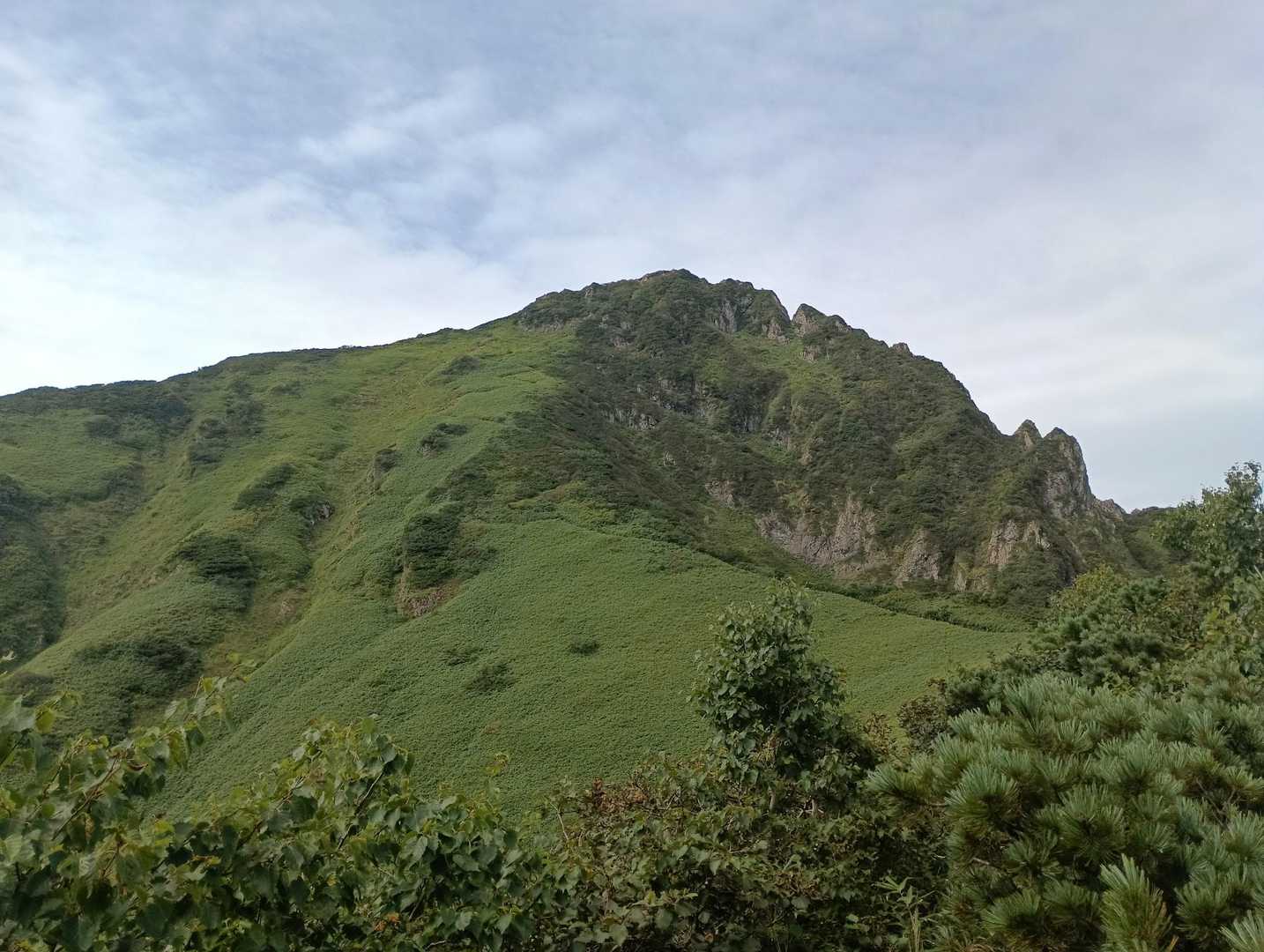 半面山-雲峰山-芦別岳 往復コースの写真