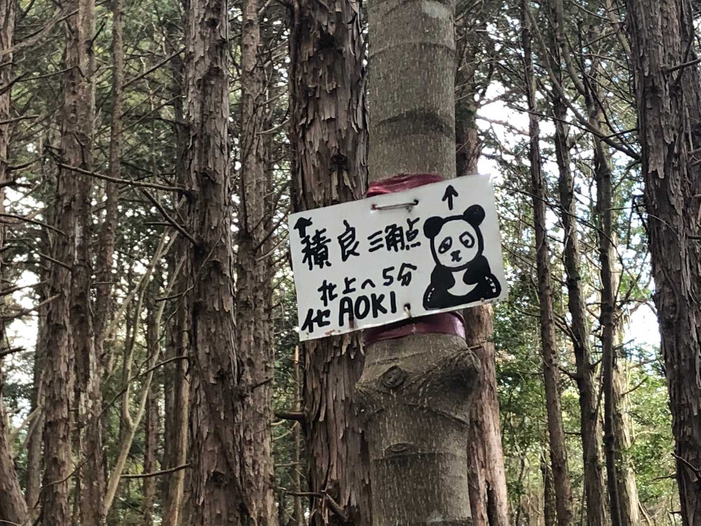寂しい時の「イセAOKIさん」は、心強い🤨