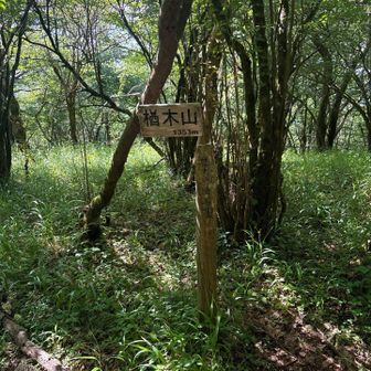 これまでとは違う山名標識。
