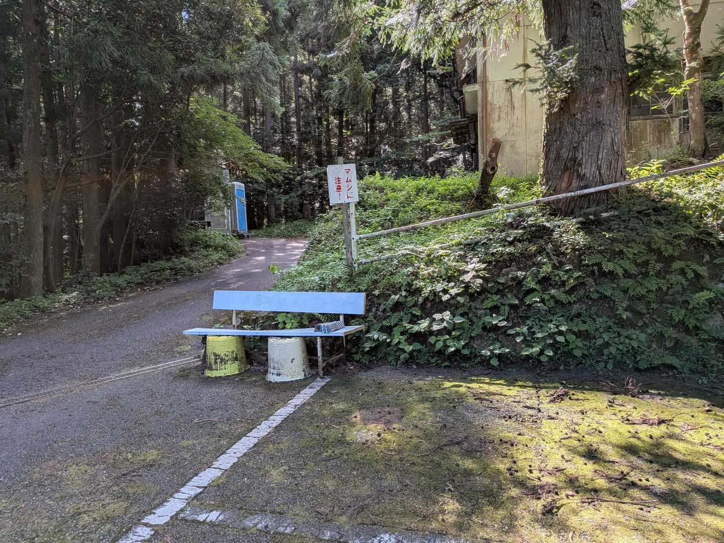 トイレ、トイレットペーパーありました。