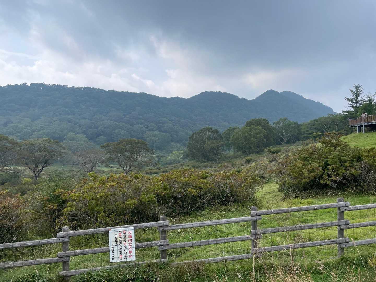 歩いた稜線を眺めながら、もう直ぐ駐車場のゴールです

最後まで見ていただきありがとうございます😊