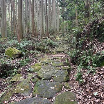 滑り知らずで下山ー🙌