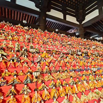 本堂にはたくさんのお雛様🎎