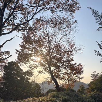 城山（ご飯山）頂上
