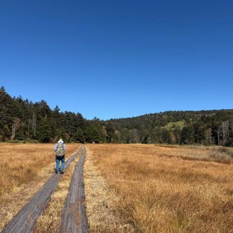 歩きやすい木道なので、登山者以外の人もいました