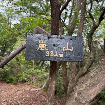嵐山ピーク✨このプレートの裏に壊れた蜂の巣の痕跡が😨