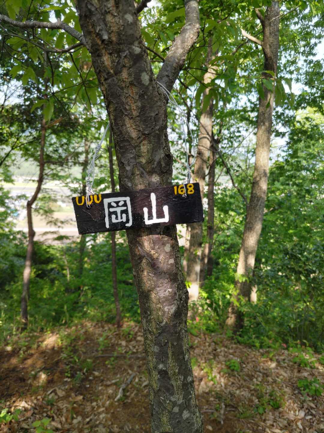 岡山到着❗️
サクッと登れて歴史感じられる山は最高ですね✨