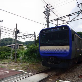 踏切と電車が近い。思わず写真をとってしまった。