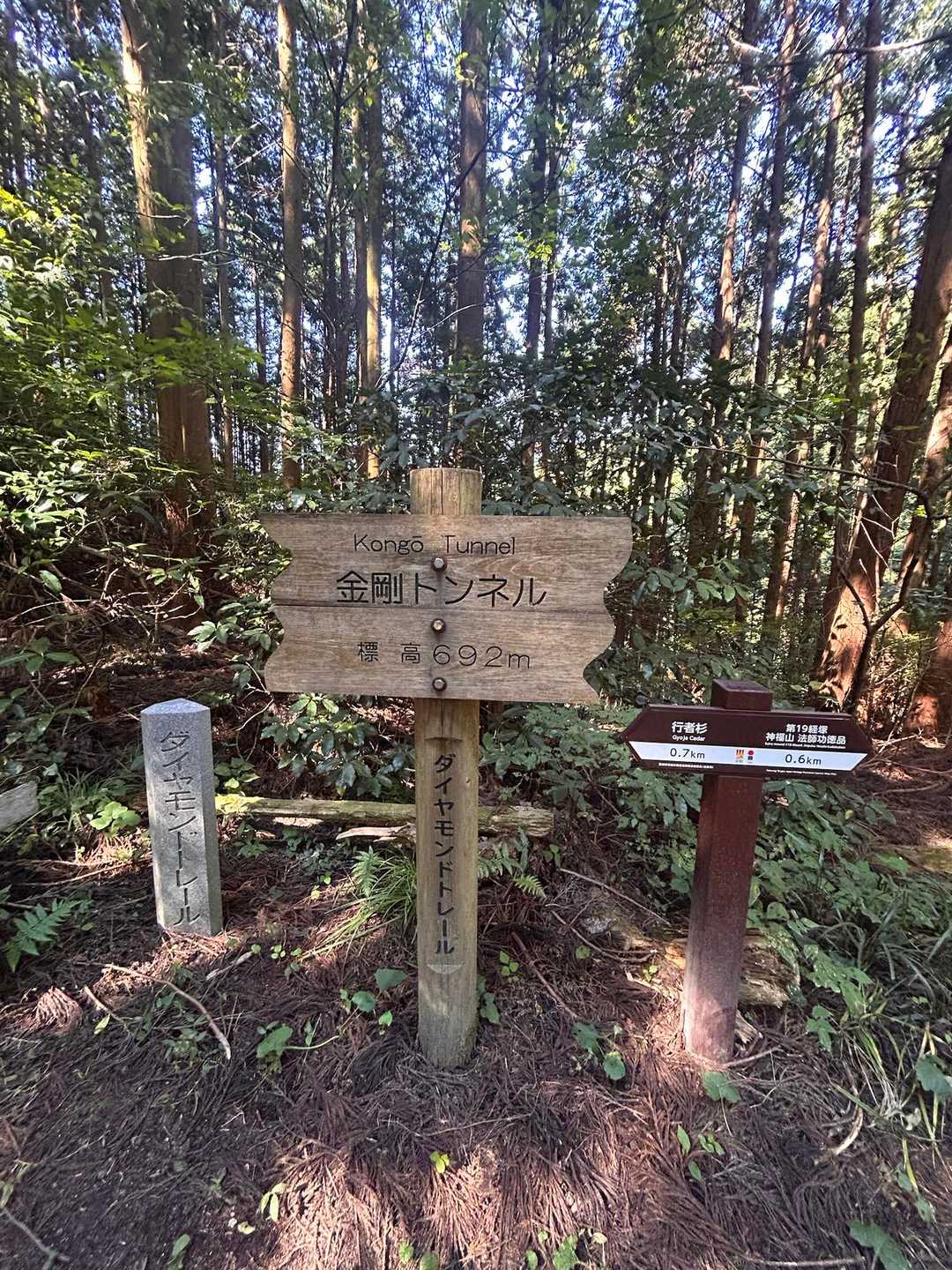 ロープウェイ前バス停-千早峠-神福山-谷尻峠-行者杉-杉尾 縦走コースの写真