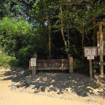 岡山県自然保護センター
https://okayama-shizenhogo-c.jp/