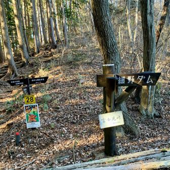 やっとこ、北コースからの合流地点に到着
本当は混み合っているはずなのに、時間が遅い為、登山者は、ポツリポツリ