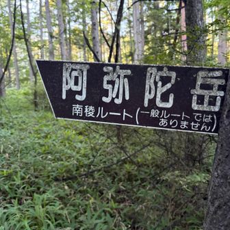 🅿️は一般道と同
一般道の方に曲がらず少し先に進んで、右手に入ると南陵ルート