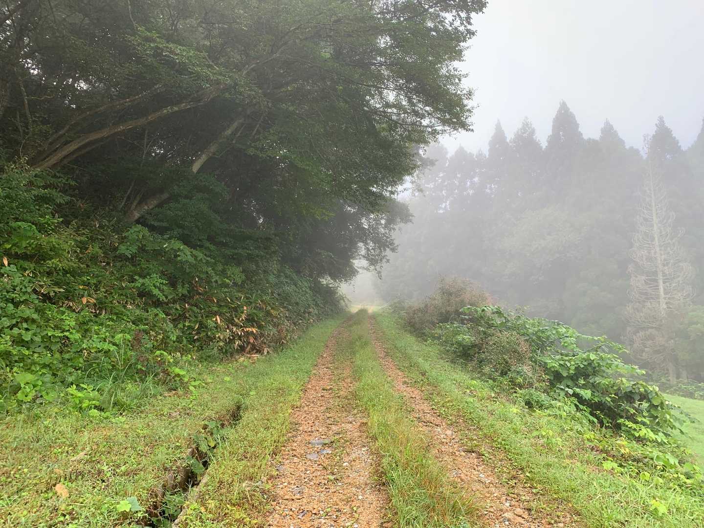 雌山 往復コースの写真