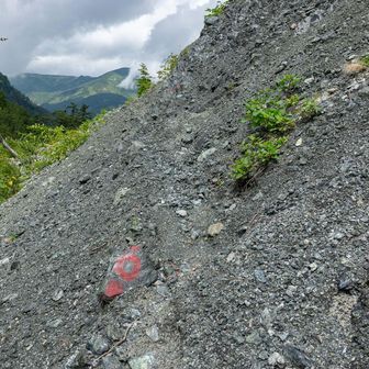 歩いてみたら問題無し。だが落石が怖いのでそそくさと通過。
