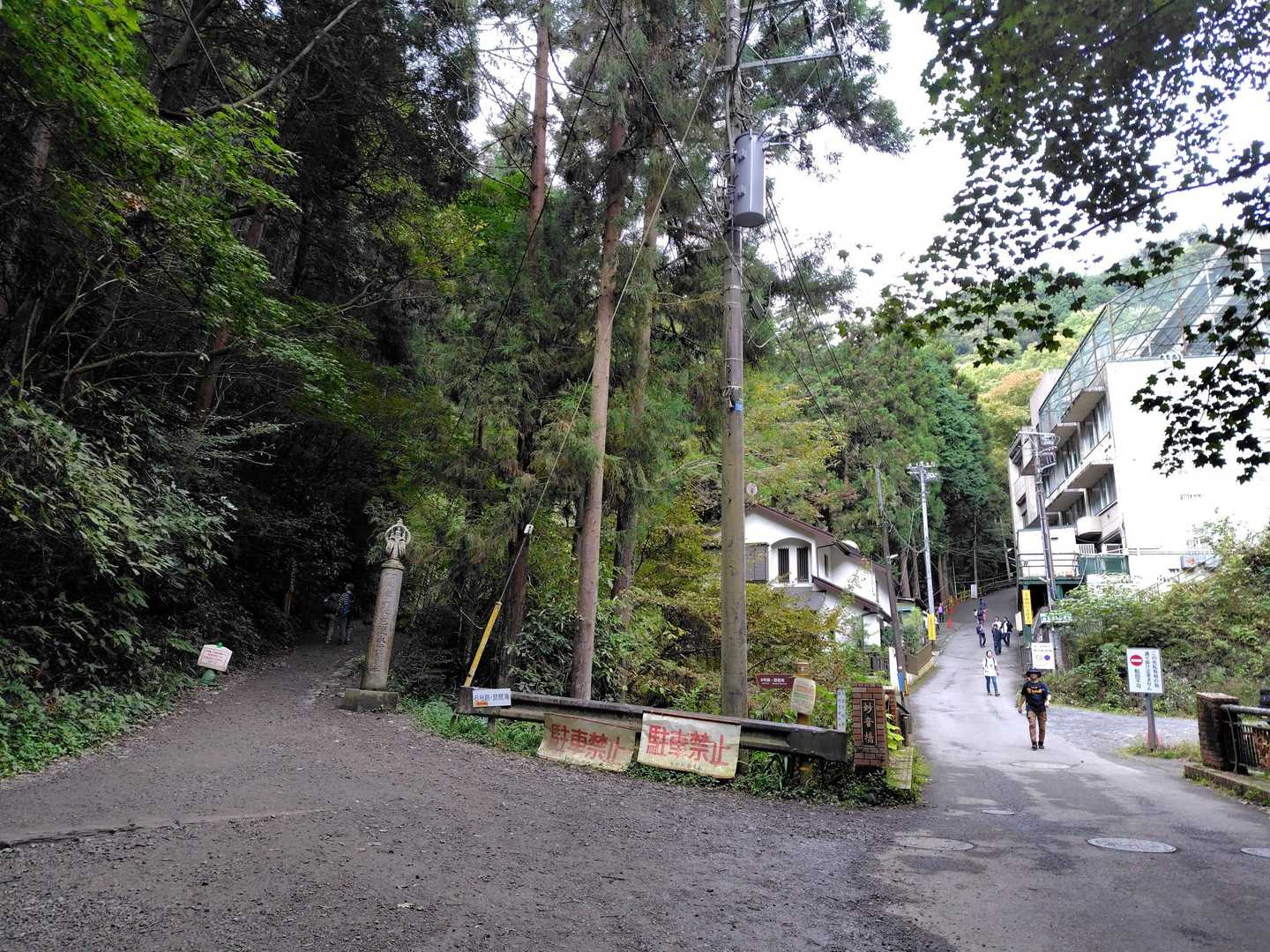 左が6号路、今日は右へ！