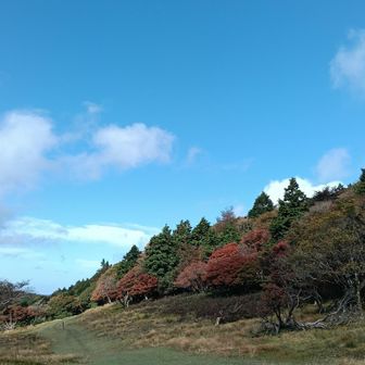 紅葉始まってるーうれしいな