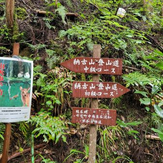 中級コースで出発🚶‍♀️