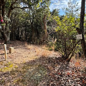 今度は、左折して進むと、頂上あり。