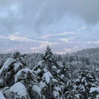 たまに風が頑張ってくれる