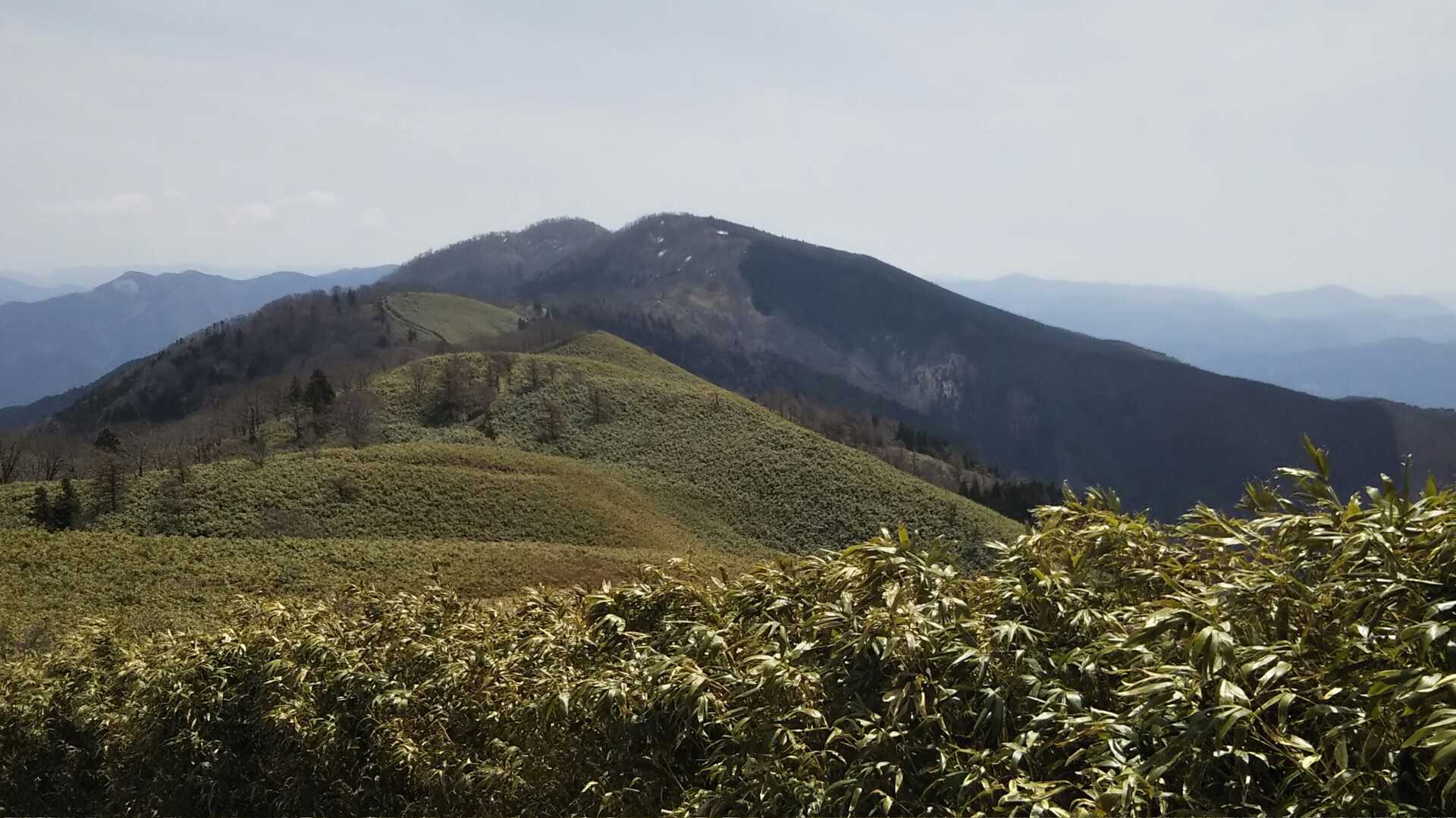 後山の写真