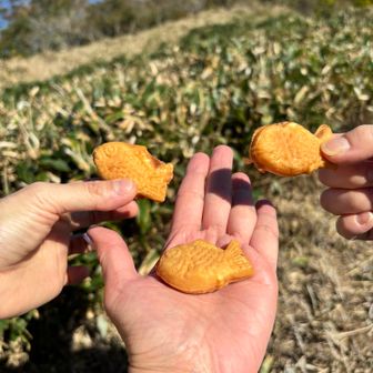 今日のメンバーは中高の同級生🤗
3年前、わたしが「石鎚山登らない？」と誘ったことで、山を始めてくれた2人です✨
いつも車出ししてくれたり、お付き合いありがとう！
ミニたい焼きもありがとう💕
