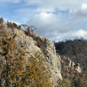 さっきいた、鷲の巣岩横から